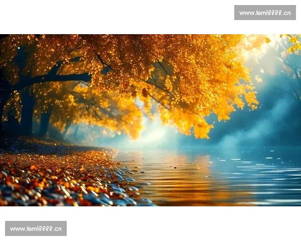 十一月的光影与故事在深秋的风中描绘生活的温度与人间的诗意